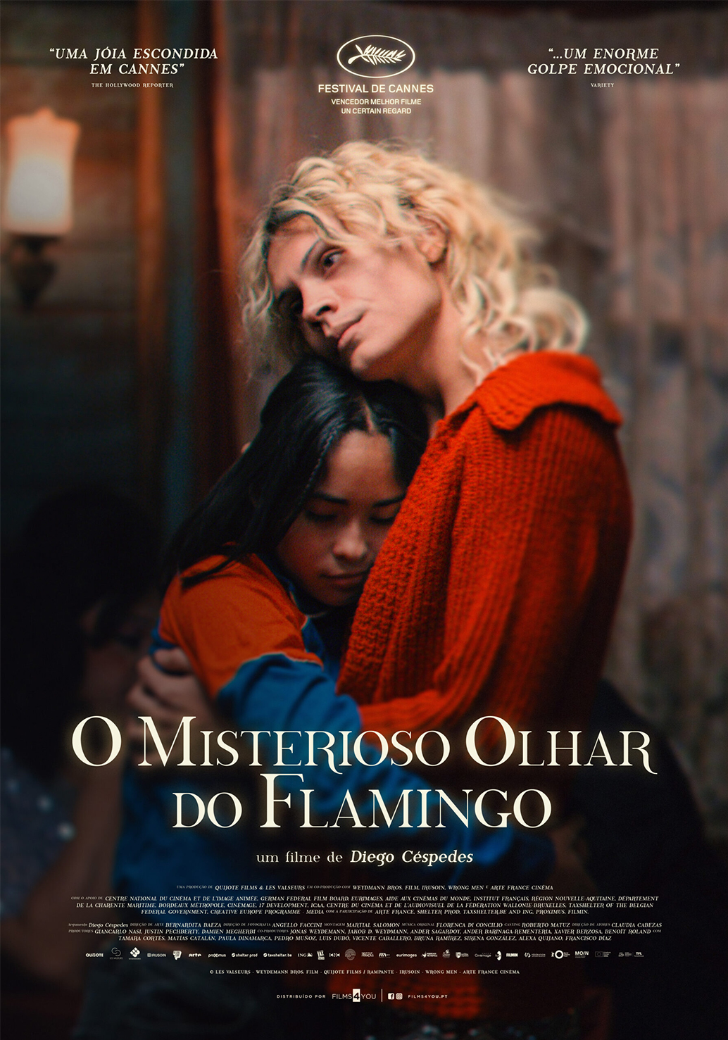 O Misterioso Olhar do Flamingo Castello Lopes Cinema