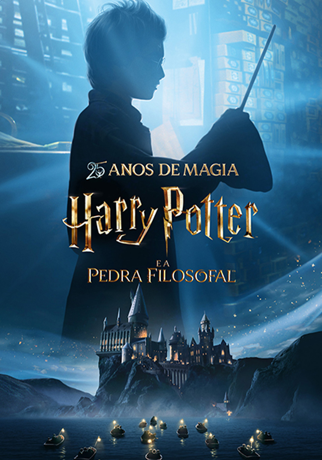 Harry Potter e a Pedra Filosofal Mira Maia Shopping Castello Lopes Cinema